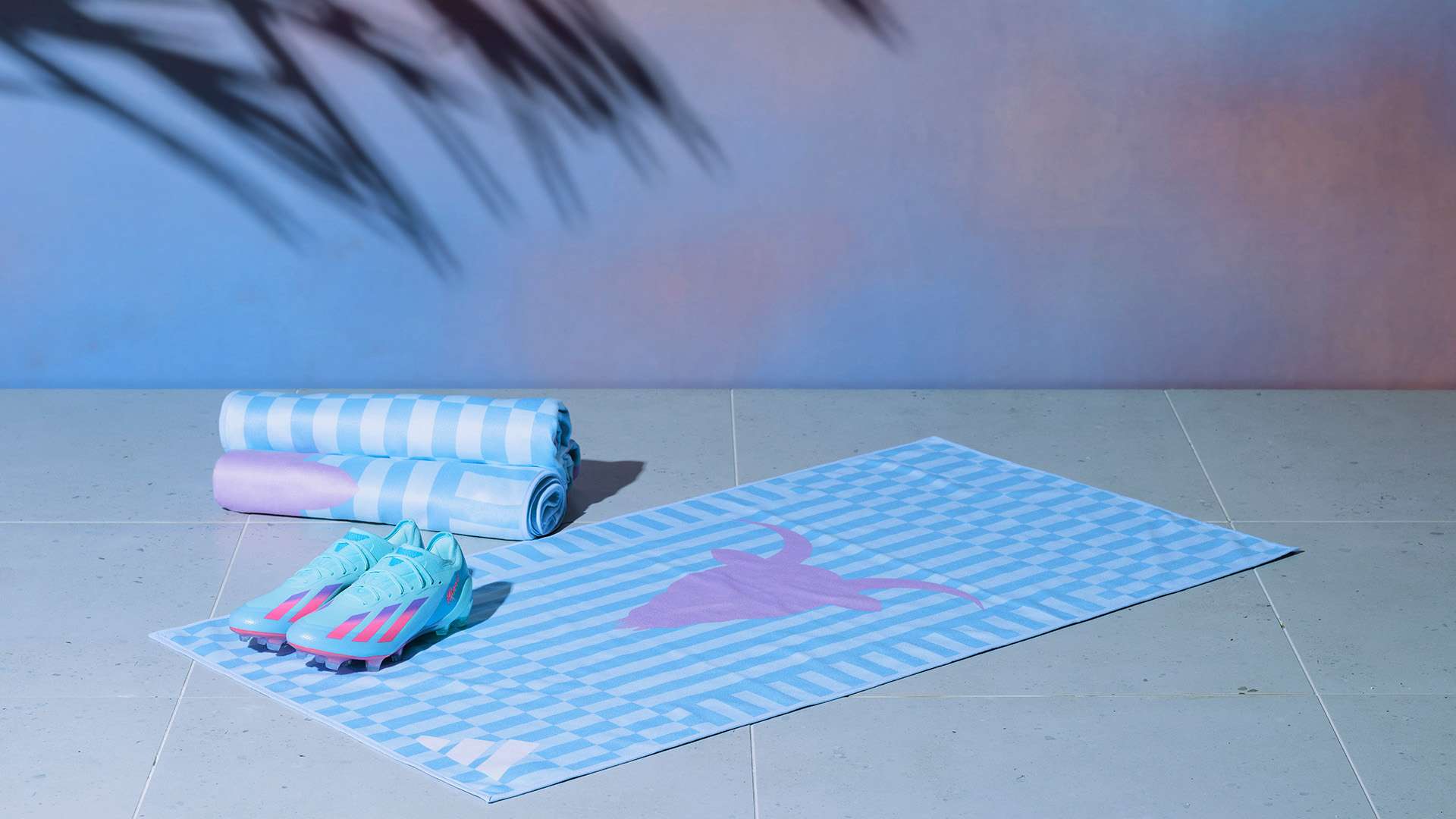 终赢得了比 终赢得了比